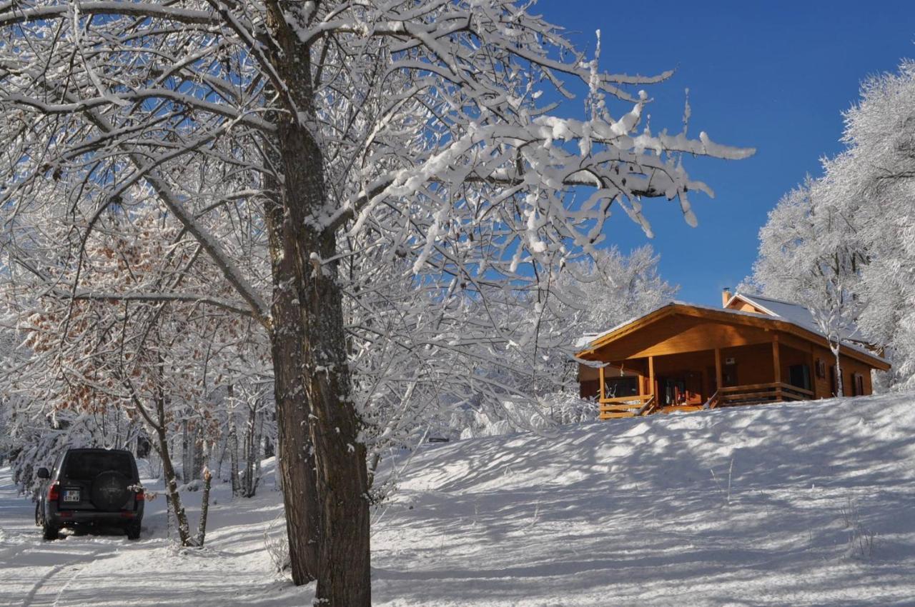キャンピング オテル ド ウレイン エア レ カリアマス Chateauroux-les-Alpes エクステリア 写真